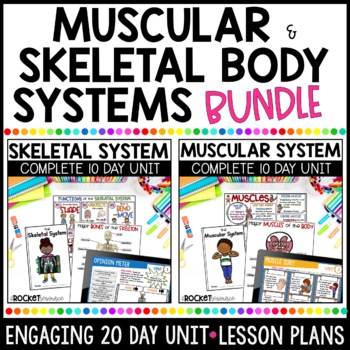 Preview of Muscular System Activities | Skeletal System Worksheets Bundle | Bones & Muscles