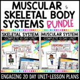 Muscular System Activities | Skeletal System Worksheets Bundle
