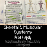 Muscular and Skeletal Systems Read and Apply Notebook Acti