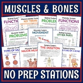 Musculoskeletal System Activity Stations NGSS MS-LS1-3 Mus