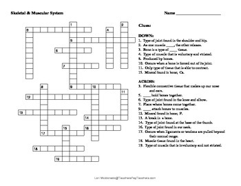 Musculoskeletal System Crossword Puzzle by Lori Maldonado | TpT