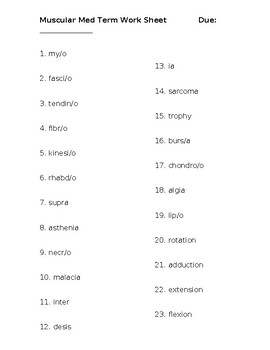 Preview of Musculoskeletal System Medical Terminology Work Sheet and Quiz