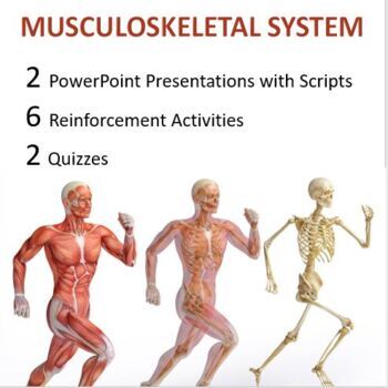 Preview of Musculoskeletal System PowerPoint Lessons with Script, Activities, and Quizzes