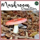 Mushroom Dissection