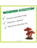 Mushroom Dissection Lab