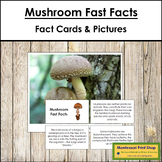 Mushroom Fast Facts - Montessori Botany Cards & Pictures