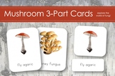 Mushroom Fungi 3-Part Nomenclature Cards- Montessori