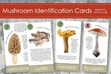 Mushroom Fungi Identification Cards- Montessori