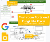 Mushroom/Fungi Parts & Life Cycle - Drag-drop, label, describe | REMOTE LEARNING