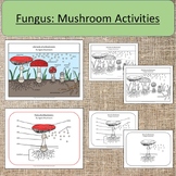 Preview of Fungus: Mushroom Activities Work Eco-System Spring Summer Montessori Preschool