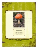 Mushroom Themed Nature Education Unit-Stage 2 (Magic Fores