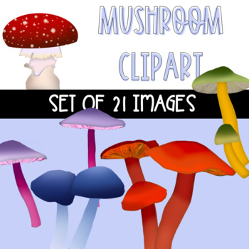 Preview of Mushroom clipart for kingdom fungi