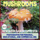 Fungi Mushrooms Photographs