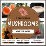 Mushrooms and Fungi Nomenclature Cards