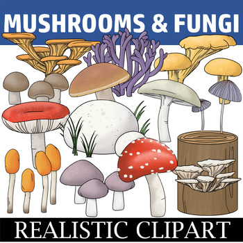 Preview of Mushroom Clipart