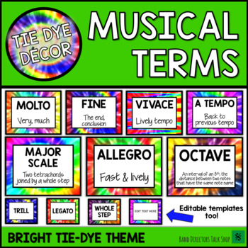 Preview of Music Bulletin Board: Musical Terms Music Posters