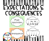 Music Class Expectations and Rules Posters