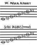 Music Staff All in One - Solfege, Scale Degrees, & Musical