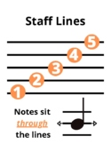 Music Staff & Clef Posters