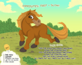 Music and Movement in a Box activity Kit, "Pony Song"