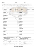 Musical Instruments Decoder Box Spanish Worksheet