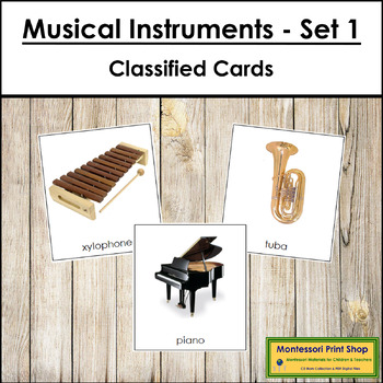 Preview of Types of Musical Instruments (Set 1) - Montessori 3-Part Cards - Vocabulary, ESL