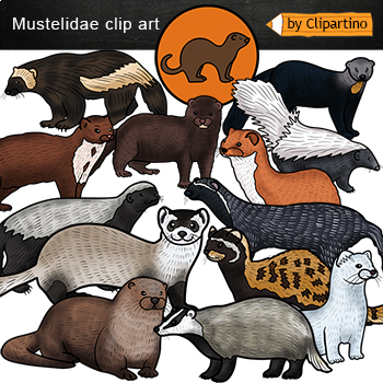 Preview of Mustelidae Clip art/ Animals clipart Commercial use
