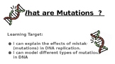 Mutation / Mitosis / Meosis