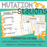 Mutation Stations: Gene and Chromosomal