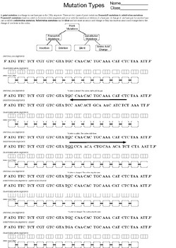 Preview of Mutation Types Worksheet