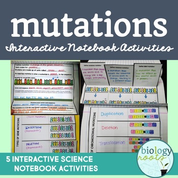 Preview of Mutations Interactive Notebook