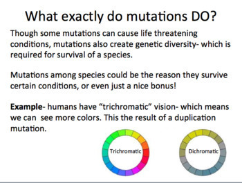 Mutations ☆