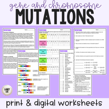 Preview of Mutations - Reading Comprehension Worksheets