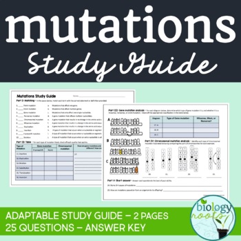 Preview of Mutations Study Guide