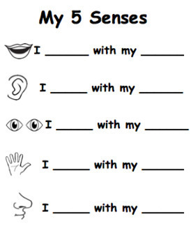 My 5 Senses by Kindergarten First RRabcaniak DECE | TpT