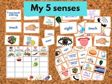 My 5 Senses