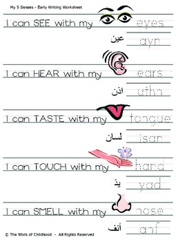 My 5 Senses (Arabic-English) by Work of Childhood | TpT