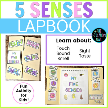 My 5 Senses Lapbook by Raindrops and Ravens | TPT