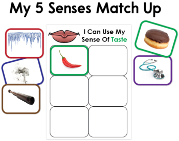Preview of My 5 Senses Match Up
