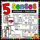 My 5 Senses / Mis 5 sentidos - Minibook & Flashcards