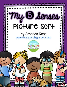 Preview of My 5 Senses Picture Sort
