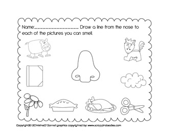My 5 Senses: Smelling Worksheet Freebie! by The Kindergarten Life