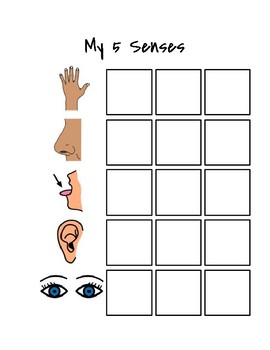 My 5 Senses Worksheet by Class With Murph | Teachers Pay Teachers