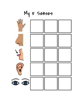 Preview of My 5 Senses Worksheet