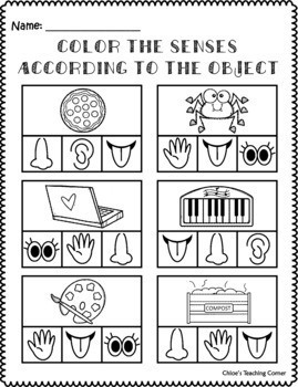 my 5 senses worksheets for preschool by chloe s teaching corner