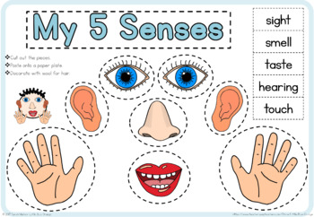 My 5 senses craft by Little Blue Orange | TPT