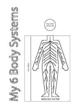Preview of My 6 Body Systems