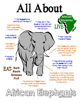 Preview of My All About African Animal Books / Workbook - Bundle Pack with 10 Animals