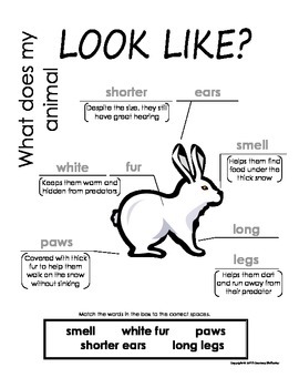 arctic hare diagram