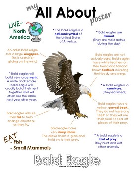 My All About Bald Eagle Book / Workbook - North American Animal | TpT